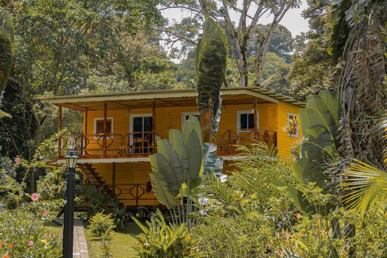 Dolphin Blue Paradise Bocas del Toro Exterior foto