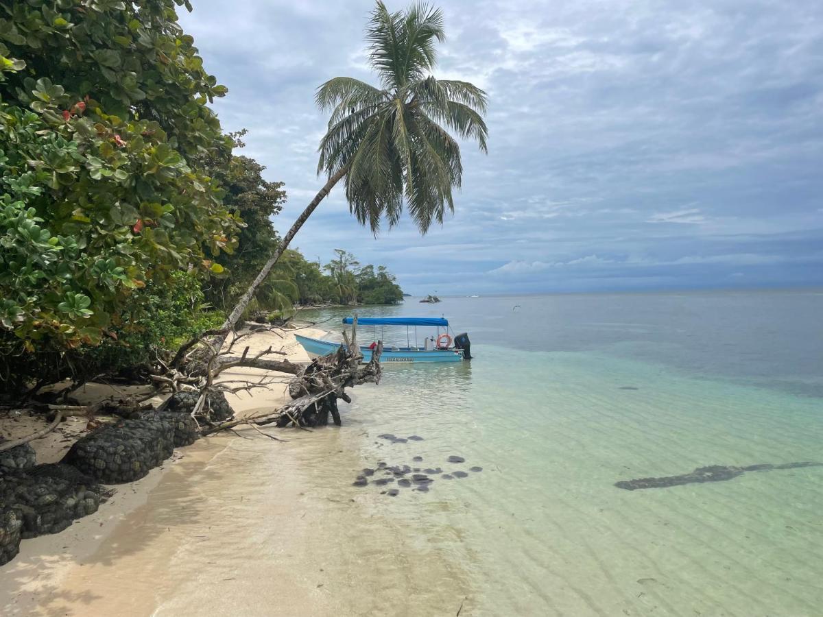 Dolphin Blue Paradise Bocas del Toro Exterior foto
