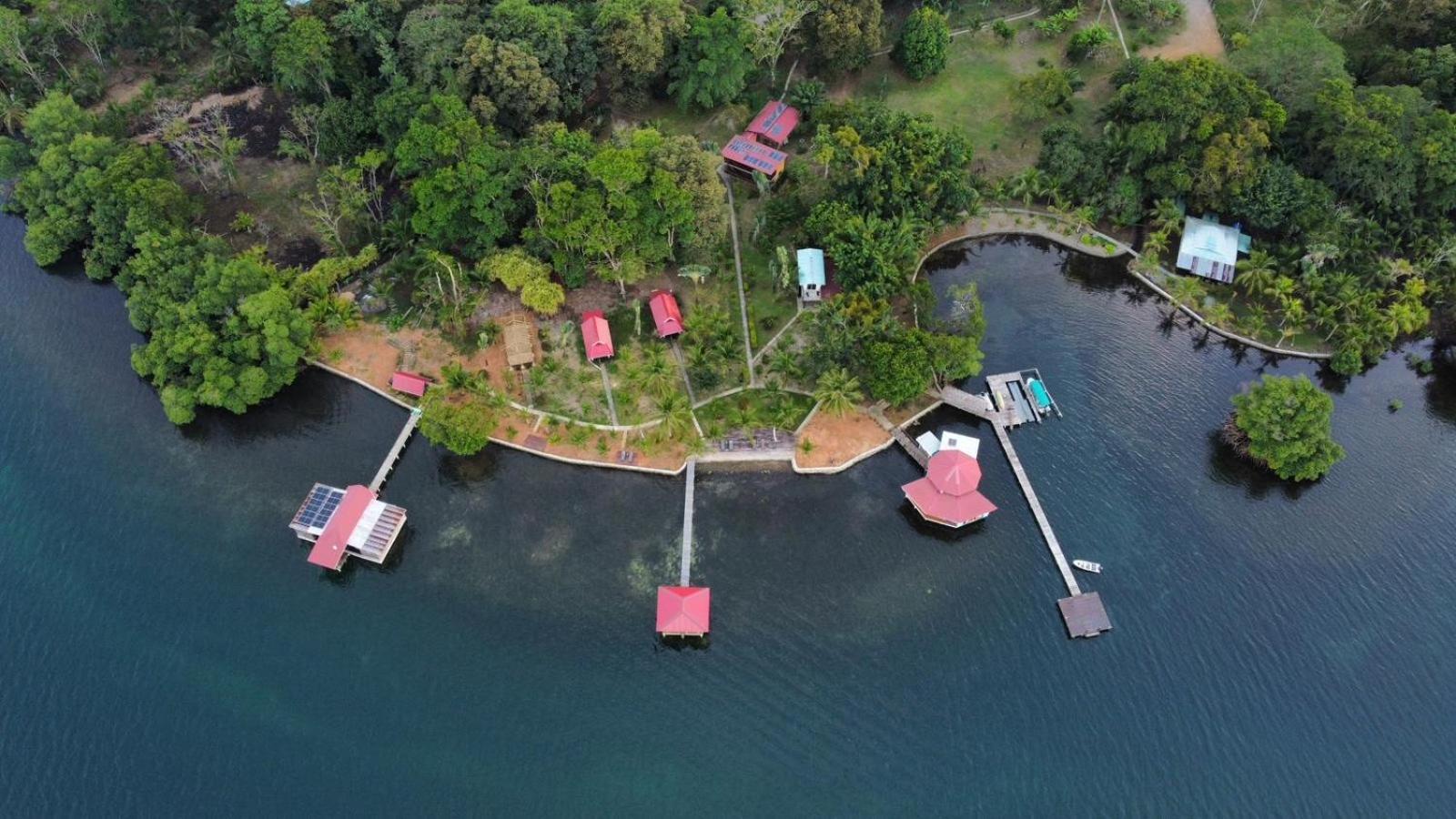 Dolphin Blue Paradise Bocas del Toro Exterior foto
