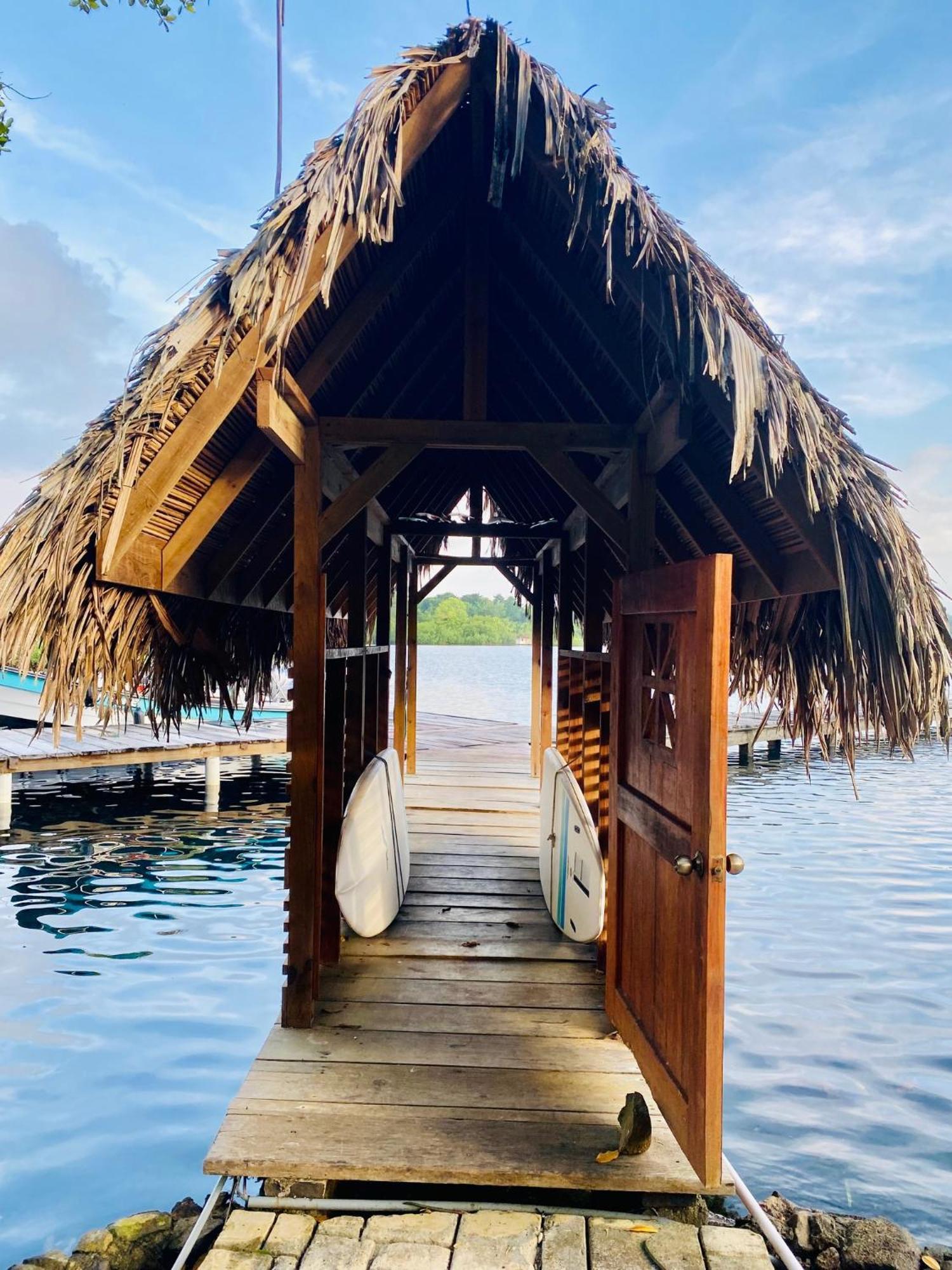 Dolphin Blue Paradise Bocas del Toro Exterior foto